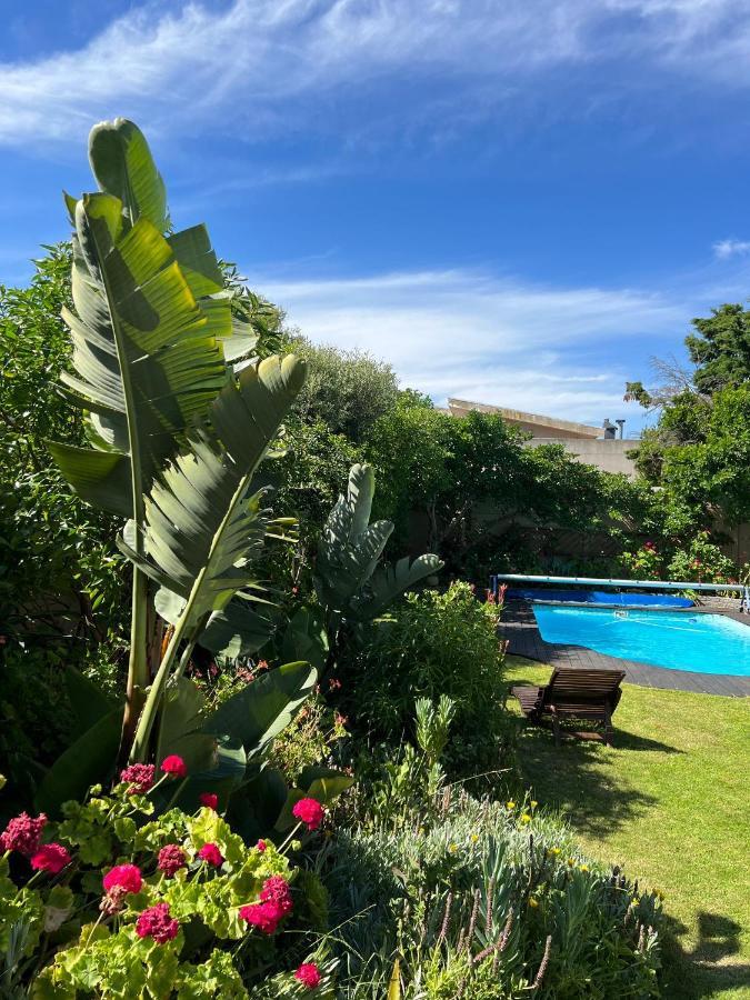 קייפטאון Sunset Beach Living Guesthouse מראה חיצוני תמונה