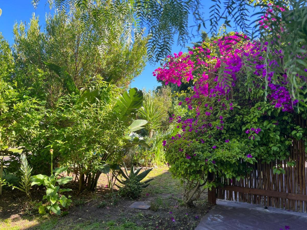 קייפטאון Sunset Beach Living Guesthouse מראה חיצוני תמונה